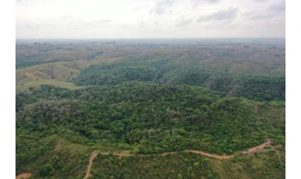 Fazendas em Leilão em Bambuí / MG - 3048694