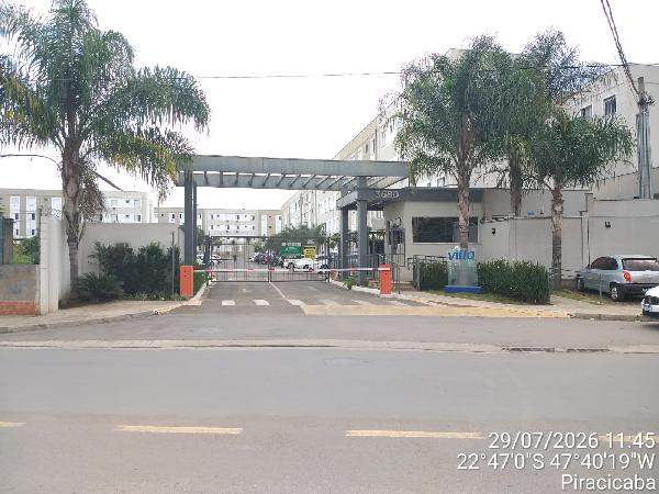 Cond vitta campestre