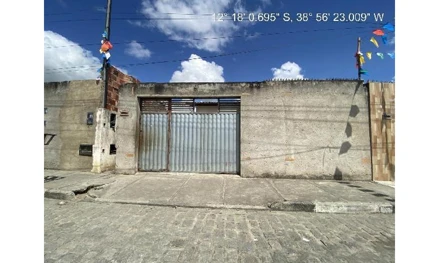Lot asa branca