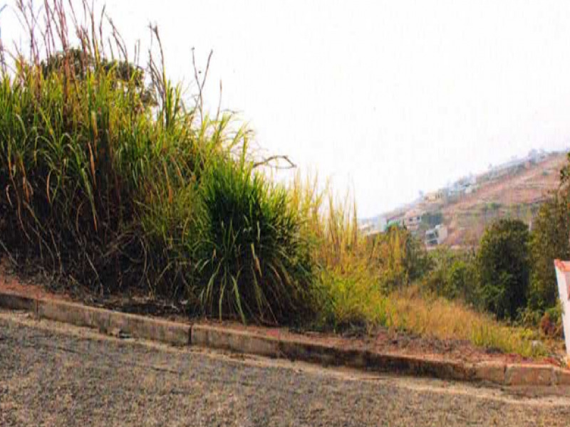 APARTAMENTO em Chapecó/SC - LOTES RESIDENCIAIS em Grajaú Maranhão - FAZENDA RURAL e LOTES RESIDENCIAIS em Minas Gerais - Lote 005 (ID 1710)