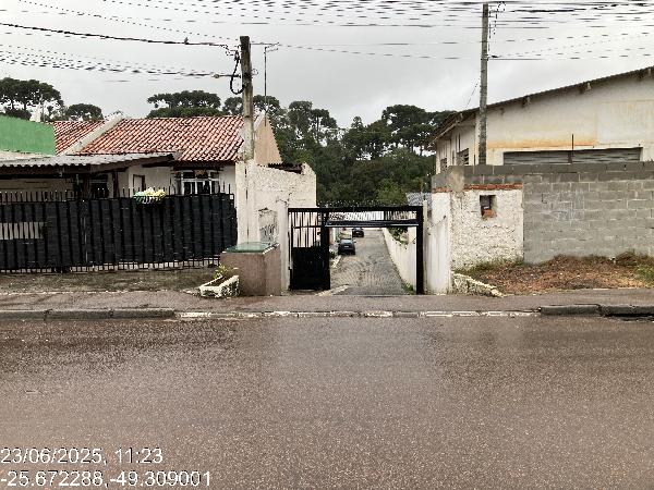 Fazenda rio grande - gralha azul