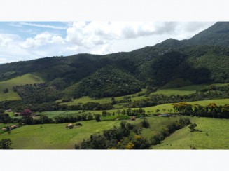 Imóvel Rural em Olaria