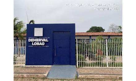Demerval lobao - piaçava i