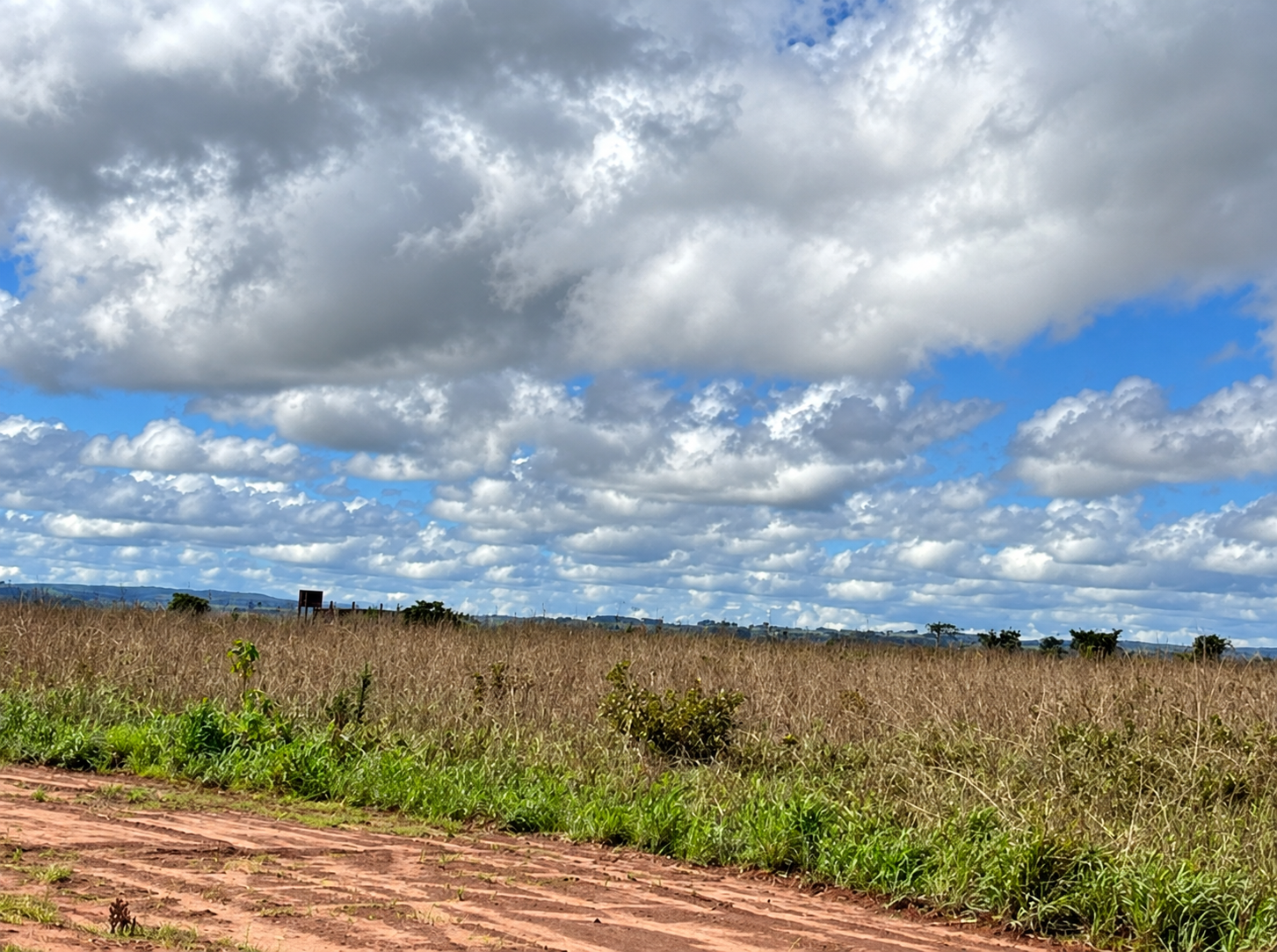 Lote 1: área rural com 127,1881ha - zona rural campo verde mt