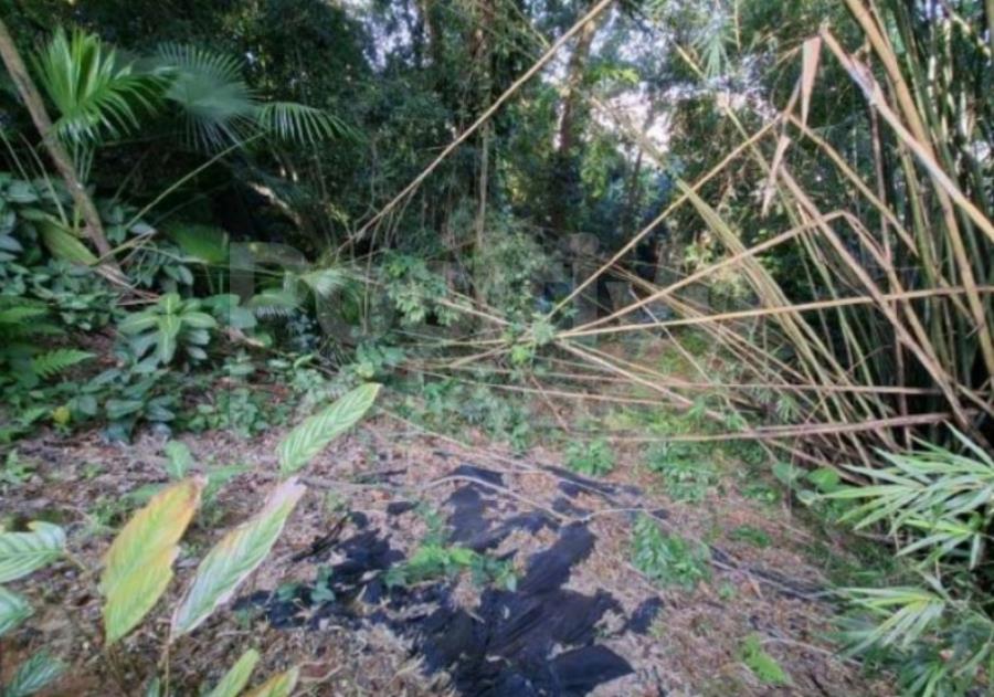 Terreno com a.ú. de 1.967,61m² - santos/sp