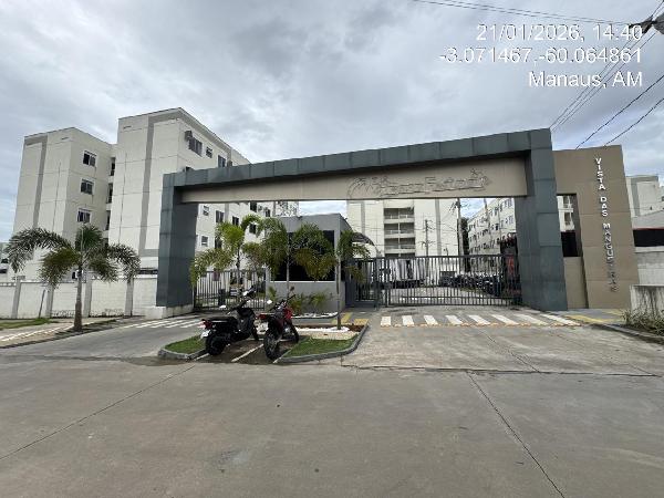 Vista das mangueiras