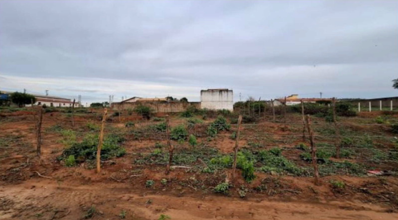 Ceará - crato/ce - terreno
