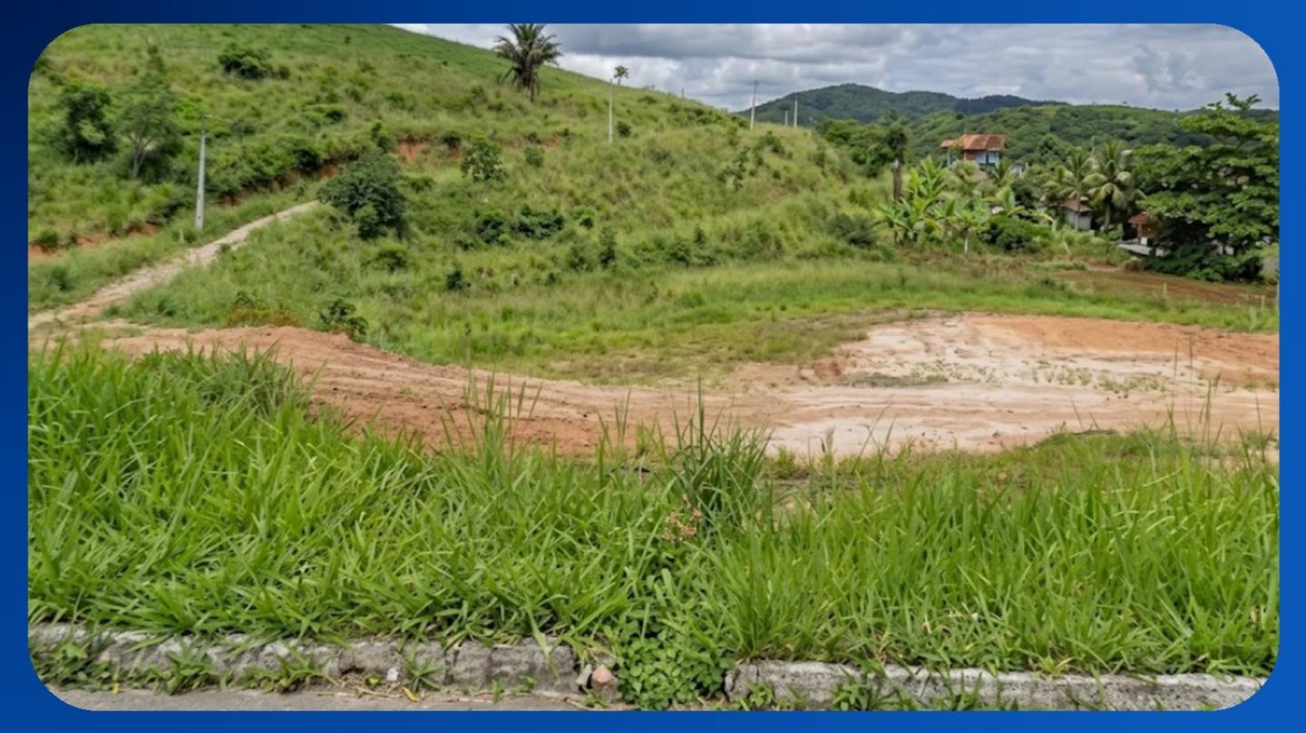 GLEBA DE TERRAS - ÁREA C-1, BR-232, KM 29, ZONA RURAL, MORENO/PE, ÁREA DE 30.034,172M² - Luis Leiloeiro