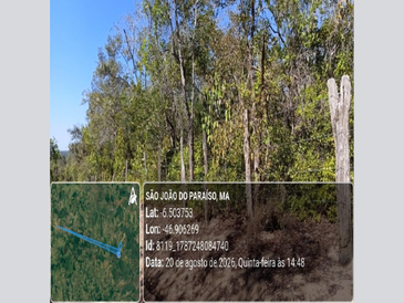 São joão do paraíso ma lugar denominado fazenda baunilia 741