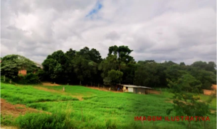 Al Leilões - IMÓVEL COM 78.571,17² EM IRATI/PR