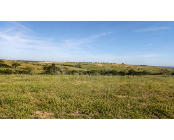 Luz/mg – fazenda noruega com a área de 45,84,05ha no distrito de esteios fazenda em leilão | mgl leilões