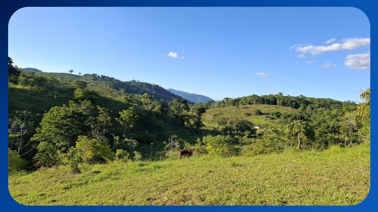 GLEBA DE TERRAS - CONJUNTO BELO HORIZONTE, ZONA DA PALMEIRA, AIQUARA/BA, ÁREA DE 201,00 HECTARES - Luis Leiloeiro