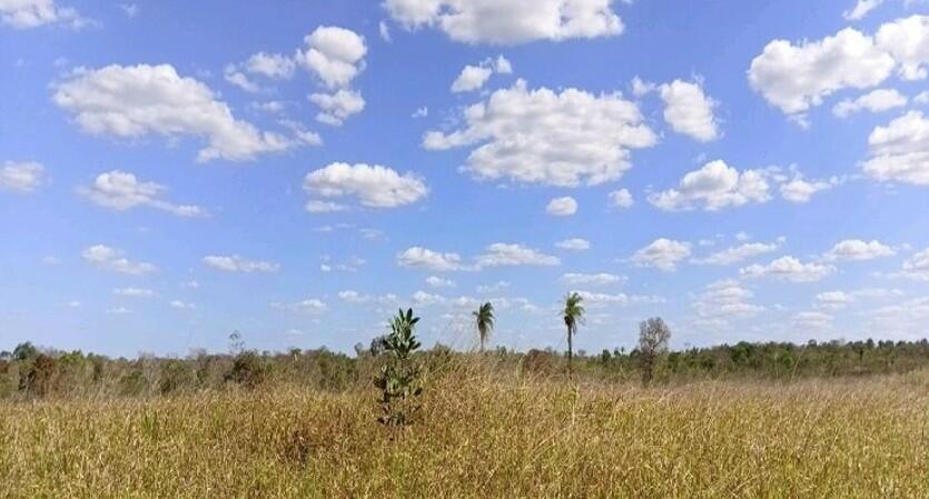 Sítio novo-ma. 02 imóveis rurais, contendo benfeitorias: 1) uma gleba de