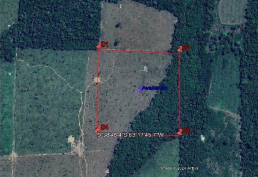 1 Terreno | Área de 16,9535ha | Lote 84D1 | Gleba 42 | Alto Paraíso/RO