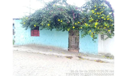 Lot res nova cha de alegria