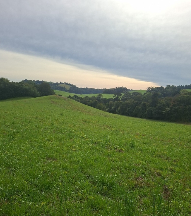 Área rural c/ 59.350,00 m² - arroio do tigre / rs