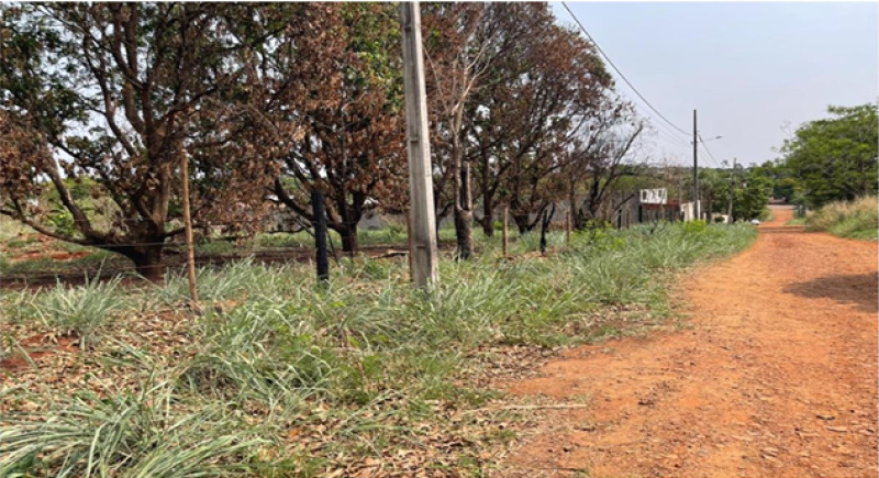 LEILÃO DA MASSA FALIDA DE IRMÃOS SALA LTDA - Lote 004 (ID 48090)