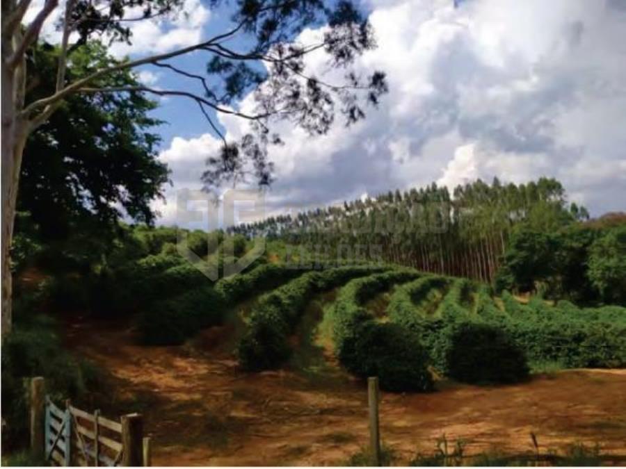 Imóvel Rural - Monte Santo de Minas (MG)