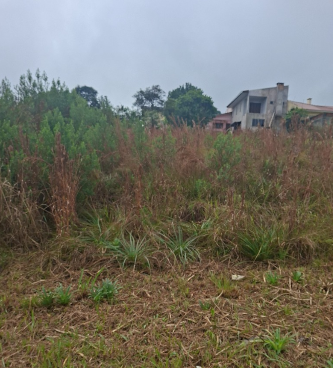 Terreno urbano c/ 455 m² - cruz alta / rs