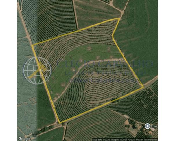 Fazenda santa maria - 169.400m² - fazenda santa maria - 169.400m² - aparecida de monte alto/sp