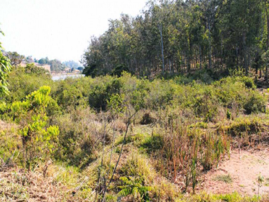 Fazenda à venda em leilão
