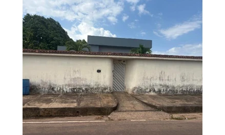 Garrafao do norte - paraenses