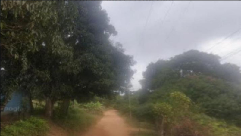 IMÓVEL RURAL COMPOSTO POR DUAS ÁREAS CONTÍGUAS QUE FORMAM UM ÚNICO CORPO, COM ÁREA TOTAL DE 35,13 HECTARES, LOCALIZADO NOS SÍTIOS ARATICUM E SANTO REIS, TIANGUÁ/CE - Lote 906 (ID 3610)