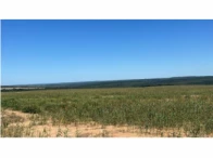 Fazenda c/ 1.081,40 ha - Buriticupu/MA