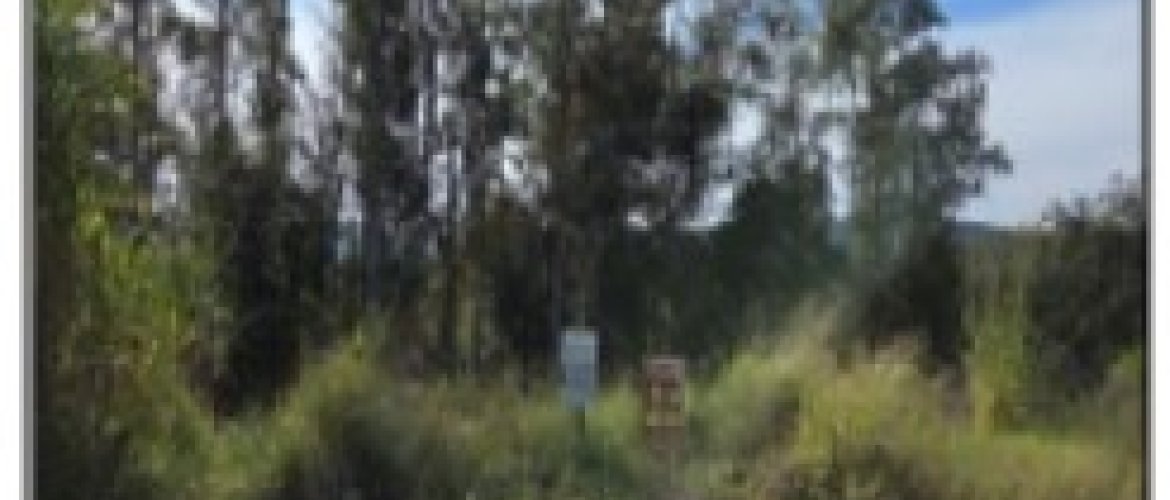 TERRENO DE LEILÃO DA CAIXA, NO BAIRRO PICADA CARÁ, NA CIDADE FELIZ, NO ESTADO RS