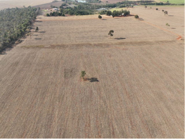Fazenda a.t. 44,89 ha - edéia/go
