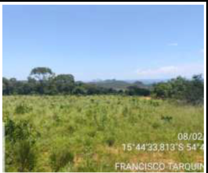 LEILÃO JUDICIAL - 2° VARA BANCARIA - UM IMÓVEL RURAL 115 Has DENOMINADO FAZENDA N. SENHORA APARECIDA - Lote 001 (ID 27247)