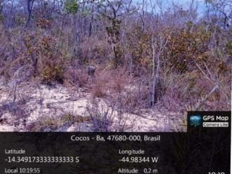 LEILÃO JUDICIAL - VARA CÍVEL COCOS / BA - Lote 001 (ID 12358)