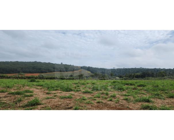 Boa esperança/mg – gleba rural com 4,85,20ha, situada no sítio agropecuária friesp fazenda em leilão | mgl leilões