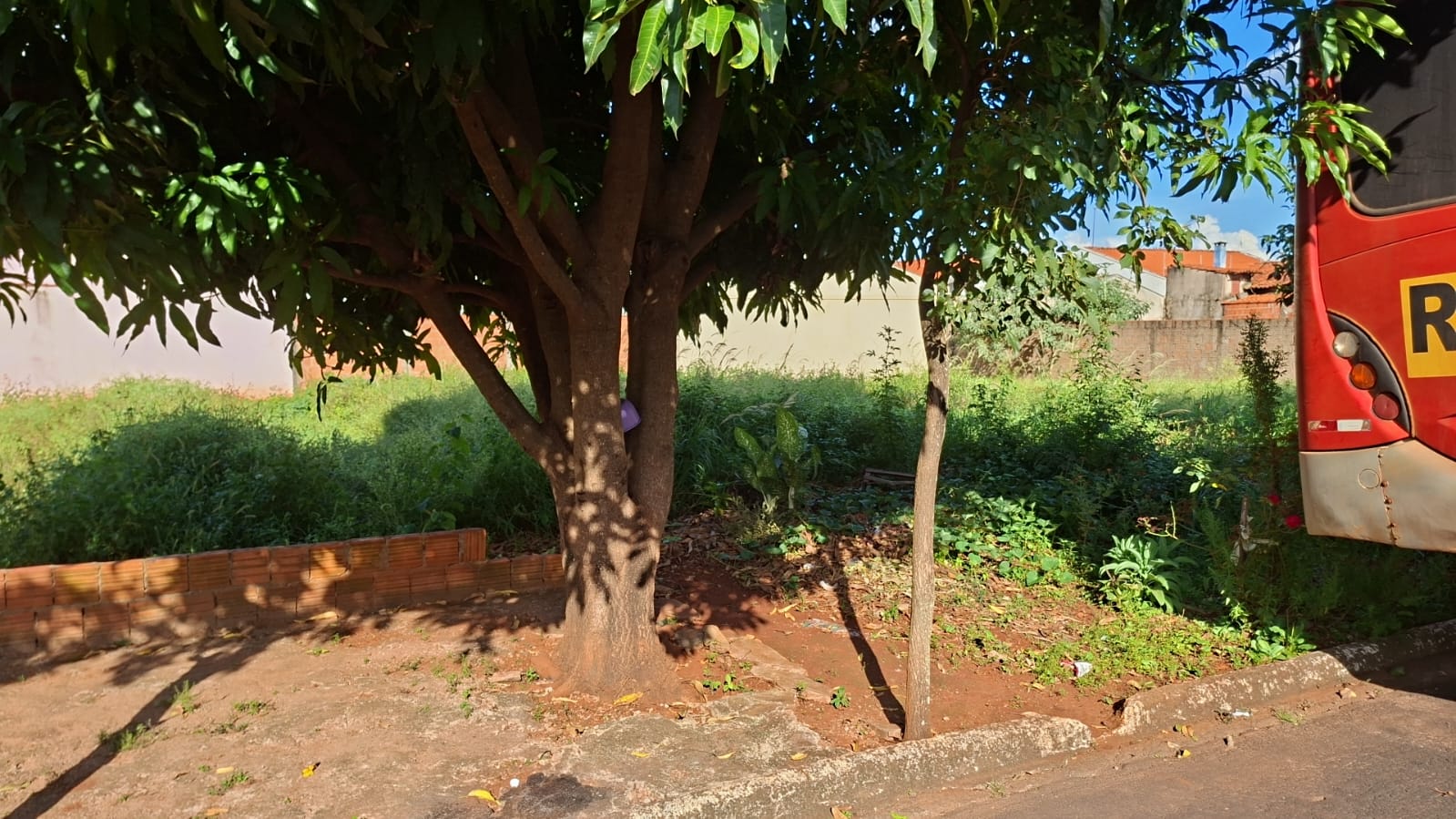 1.0 - terreno área total 200m² - jd arlindo ramos - santa cruz das palmeiras/sp