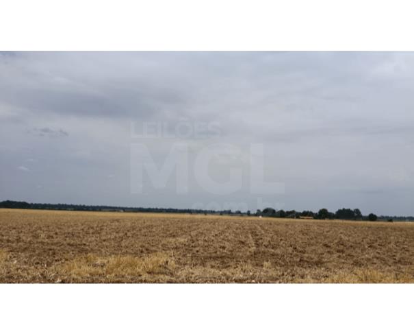 Cerejeiras/ro - terreno urbano com 3.600,00 m² no setor industrial 07 lote em leilão | mgl leilões