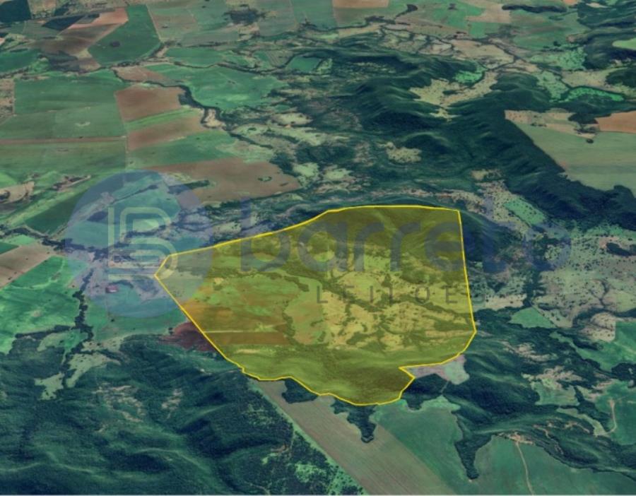 IMÓVEL RURAL | A.T. 674 HA | FAZENDA SERTÃOZINHO "I" | REGIÃO DE PECUÁRIA E PLANTIO DE SOJA / MILHO I CAMPO GRANDE/MS