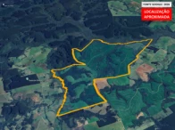 Fazenda - 517ha 9.267,00m² – morrinhos
