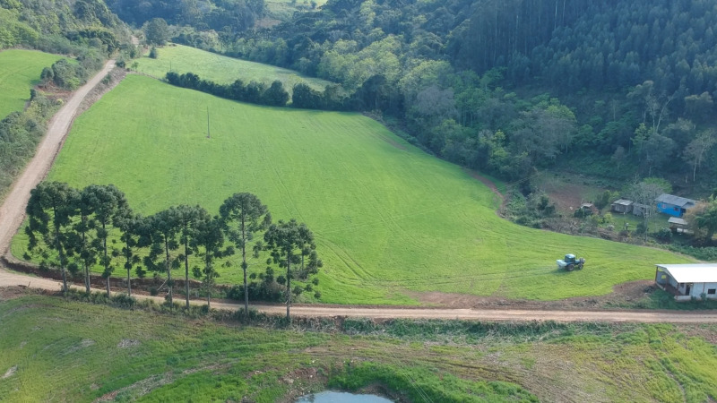 Justiça Estadual - Lote 002 (ID 39678)