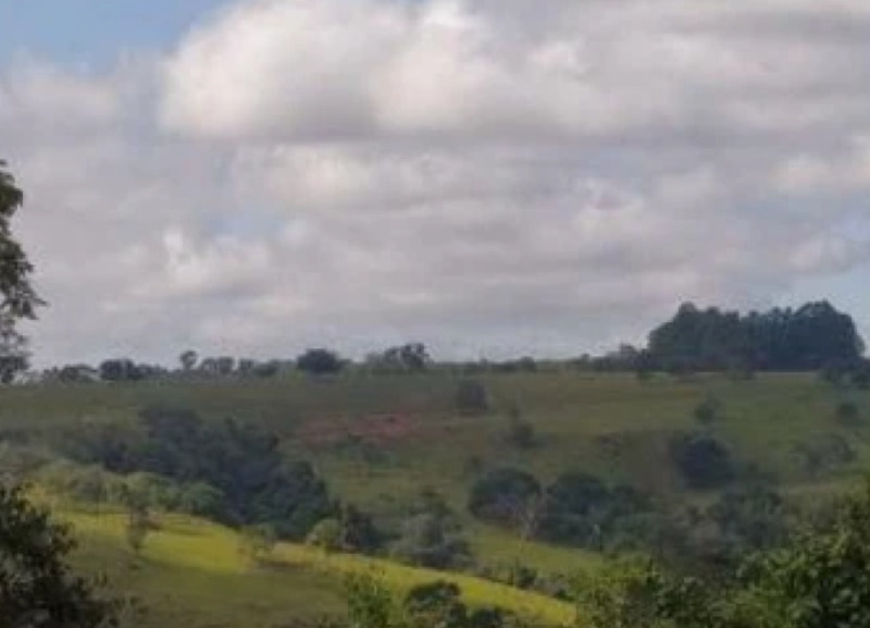 IMÓVEL RURAL EM LAGAMAR/MG - Lote 001 (ID 27896)