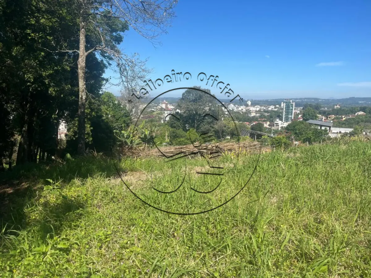 Uma área de terrenos com 600,37m², a Rua Gaspar Silveira Martins, Santa Cruz do Sul