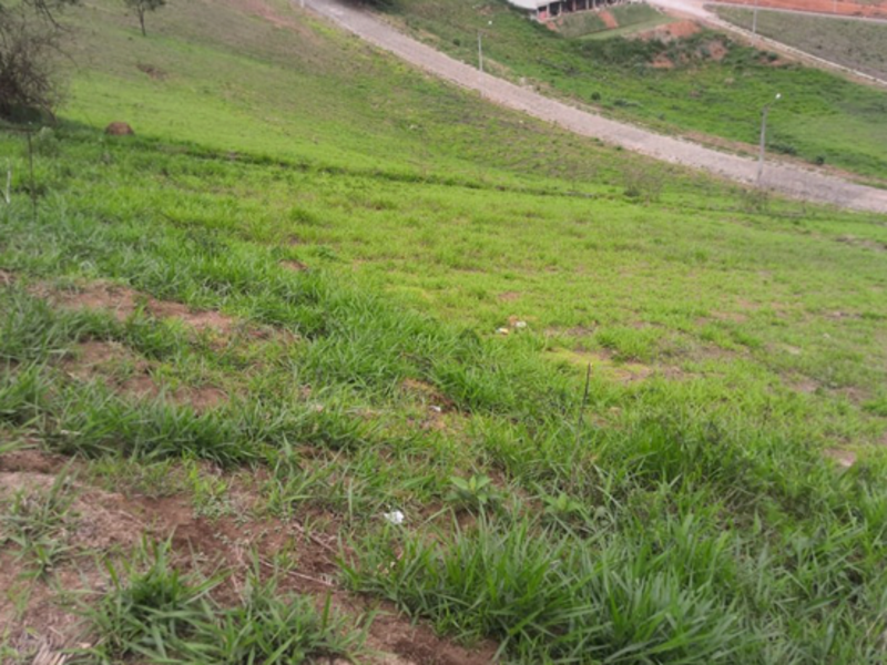 Terreno cambuí mg 33.516