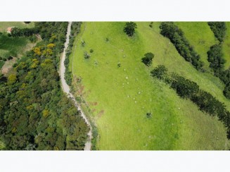Imóvel Rural em Olaria
