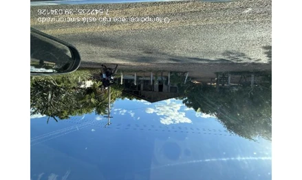 Terreno em Leilão em Porteiras / CE - 3002371