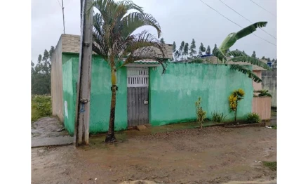 Cha de alegria - lot n cha alegria 3