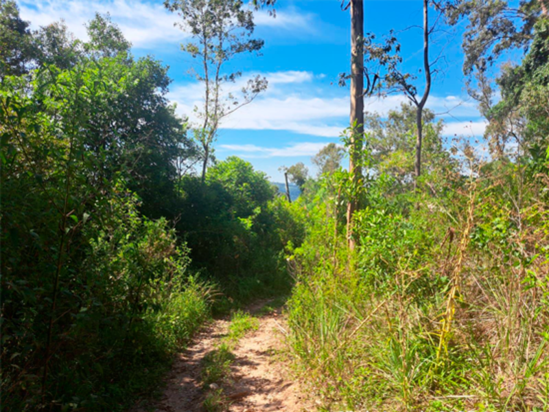 Terreno em leilão em Bento Gonçalves - RS