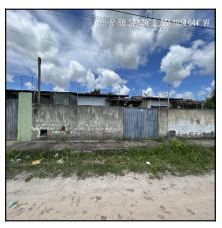 Macaiba - bela macaiba