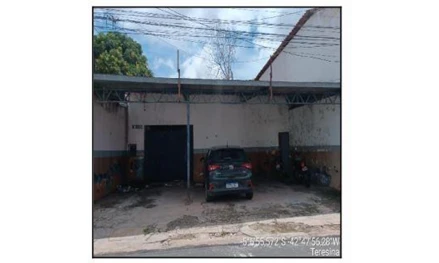 Teresina - macauba