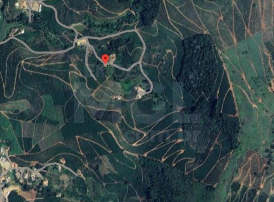 Orizânia/mg – fazenda cafeeira produtiva com a área de 22,08,48ha, denominada fazenda providencia, córrego da fumaça fazenda em leilão | mgl leilões