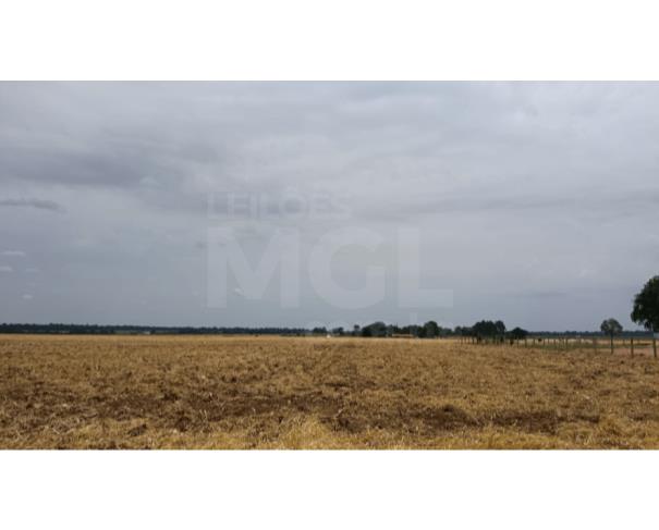 Cerejeiras/ro - terreno urbano com 4.500,00 m² no setor industrial 07 lote em leilão | mgl leilões