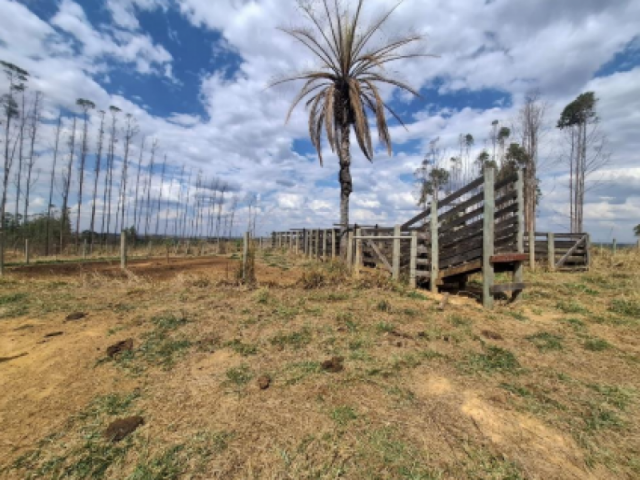 Fazenda a.t. 158 ha - distrito de esteios, luz/mg